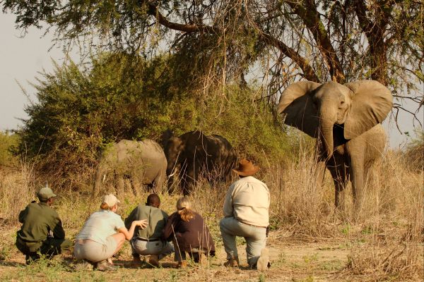 safari tanzanie 6 jours